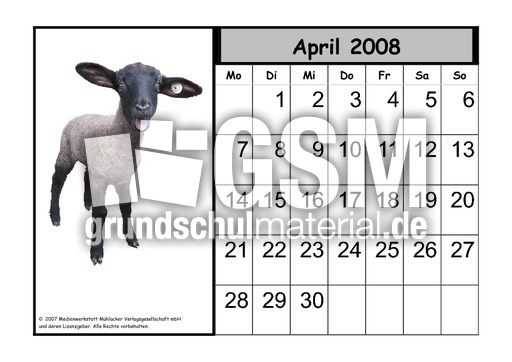 Tier-Kalender-08-04.pdf